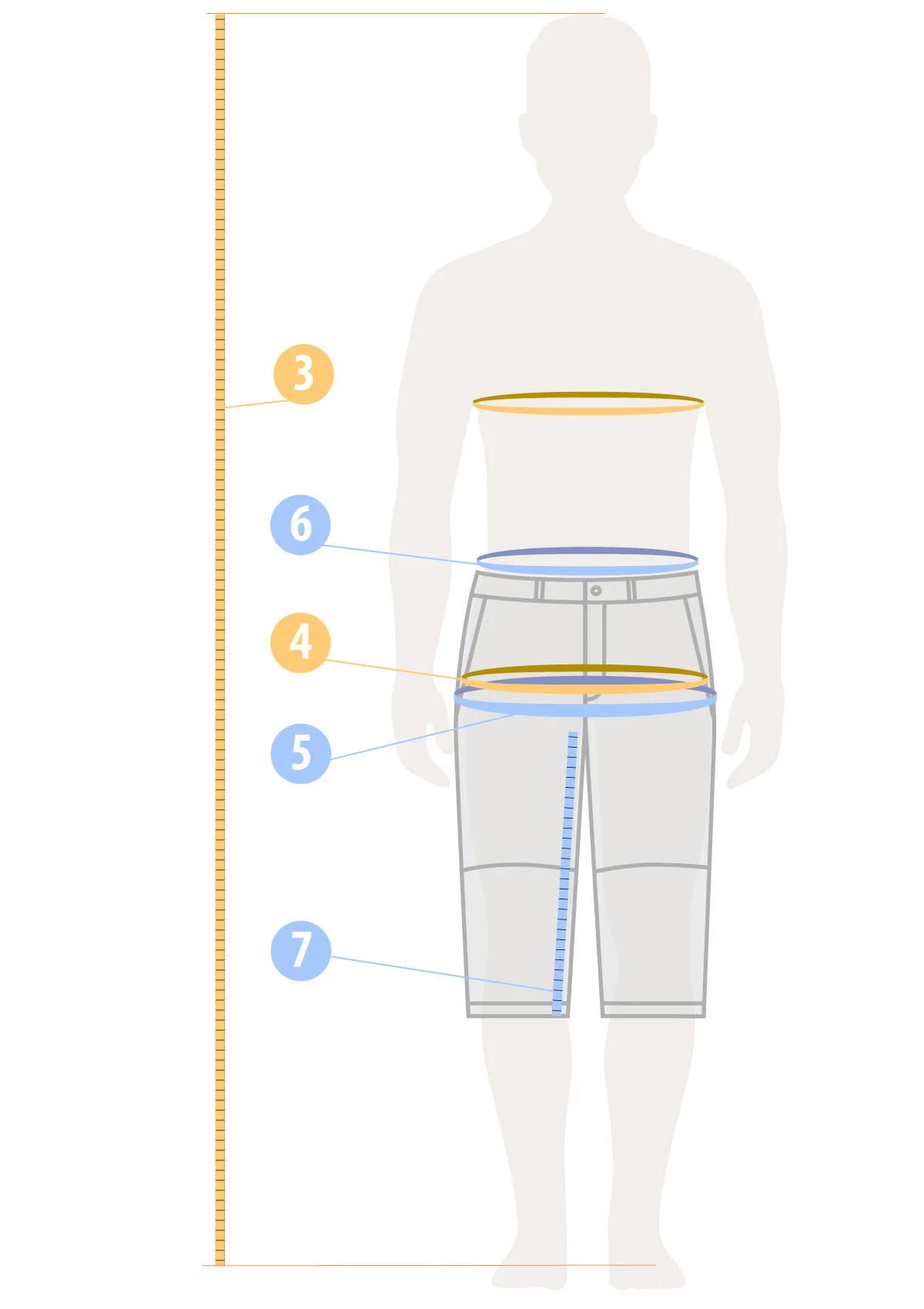 Как подобрать размер бриджей SWW